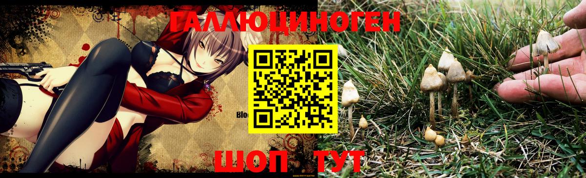 Псилоцибиновые грибы GOLDEN TEACHER  Вход с VPN  Всеволожск 